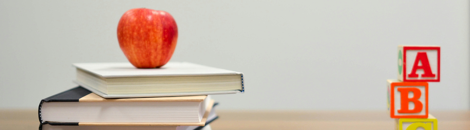 Bachelor of Education (Early Childhood Education) (Honours)